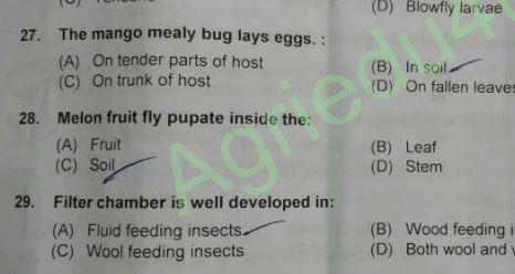 Entomology JRF question paper