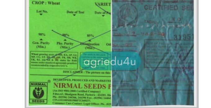 difference-between-certified-seed-and-truthfully-labelled-seed