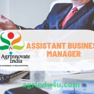 assistant business manager