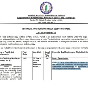 nabi recruitment