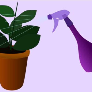 spraying plant fertigation