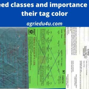 various seed classes and importance of tag color