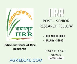 Indian Institute of Rice Research recruitment 2022  for Senior Research Fellow hot post