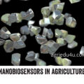 nanobiosensors in agriculture