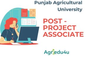 Punjab Agricultural University recruitment 2022 PAU Invites Application for Project Associate-I Recruitment 2022 new hot