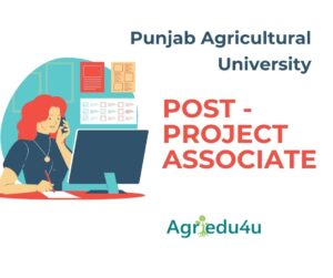 Punjab Agricultural University recruitment 2022 PAU Invites Application for Project Associate-I Recruitment 2022 new hot