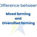 Difference between mixed and diversified farming