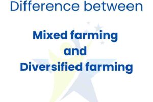Difference between mixed and diversified farming new 2022