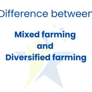 Difference between mixed and diversified farming