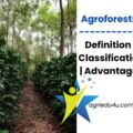 agroforestry definition