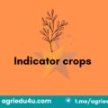 indicator crops