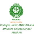 angrau affiliated private colleges list