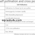 difference between self pollination and cross pollination