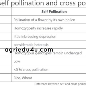 difference between self pollination and cross pollination