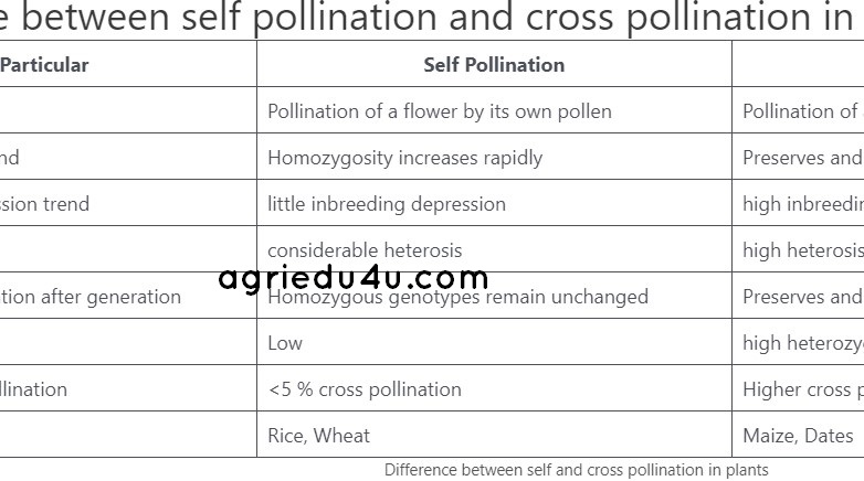 Difference between self pollination and cross pollination in plants genetic perspective | JRF SRF exam questions