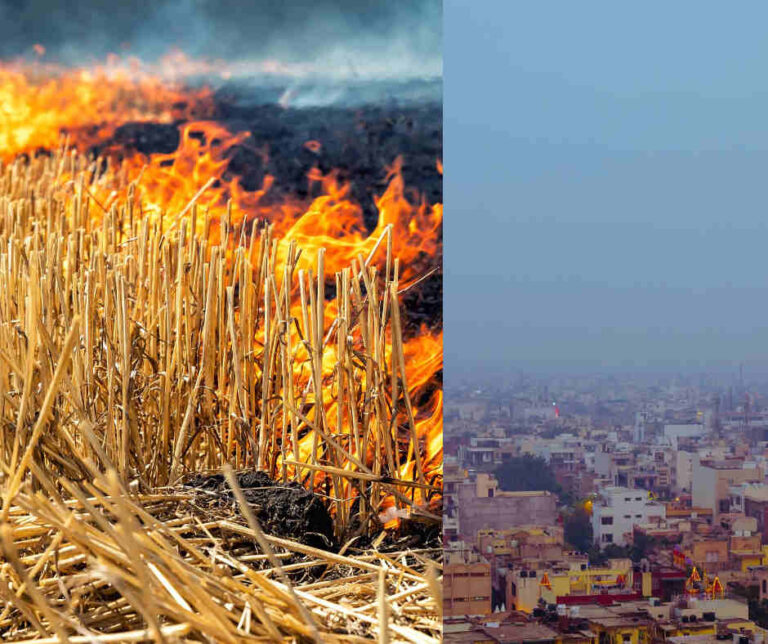 Stubble Burning In Punjab At A New Time High | Capital To Choke More ...