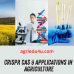crispr cas in agriculture