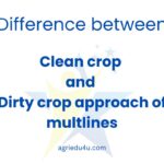 Difference between clean crop and dirty crop approach