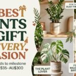 best plant to gift for housewarming